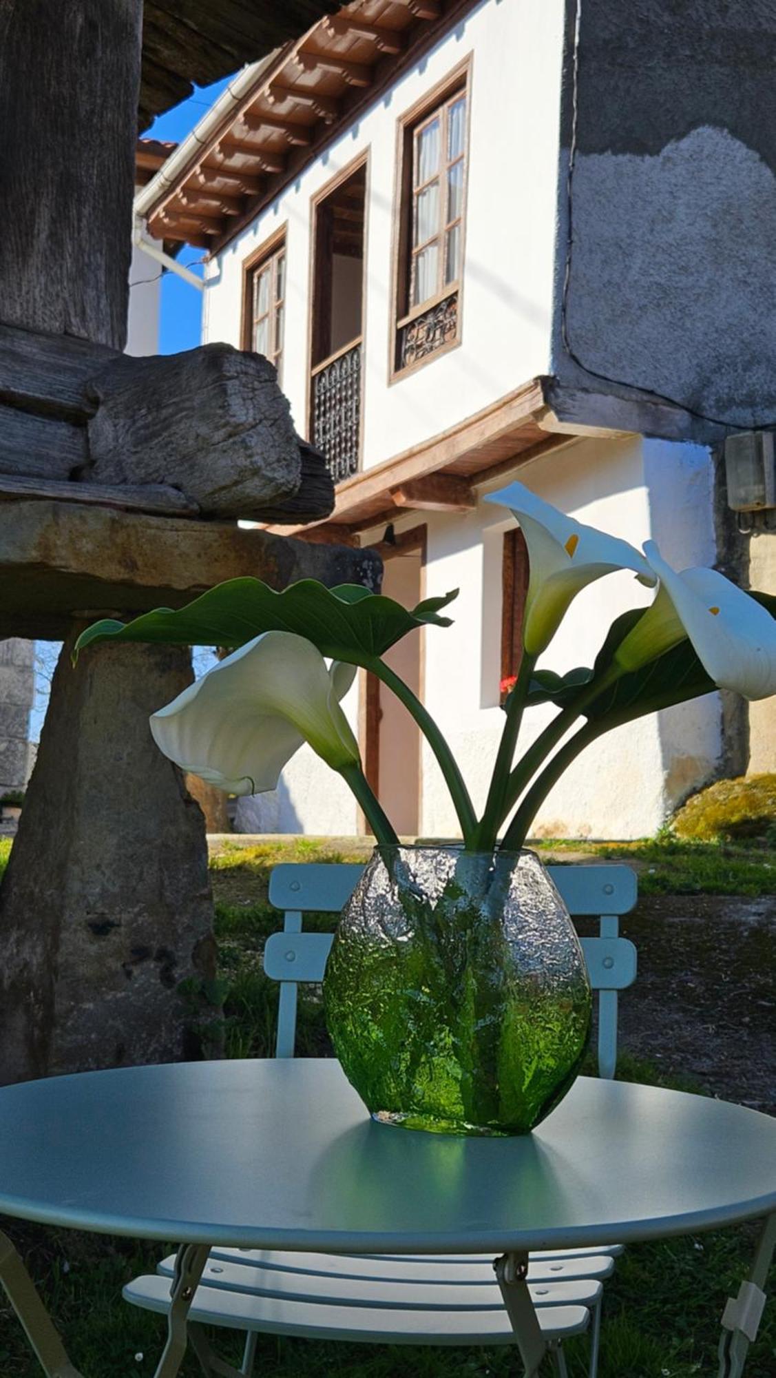 El Rinconin Del Sueve Villa San Martin de Valles Exterior foto